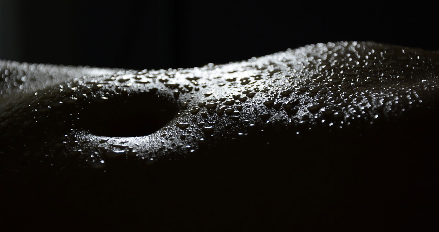 Rebirth, a tanka written by Genie Nakano at Spillwords.com