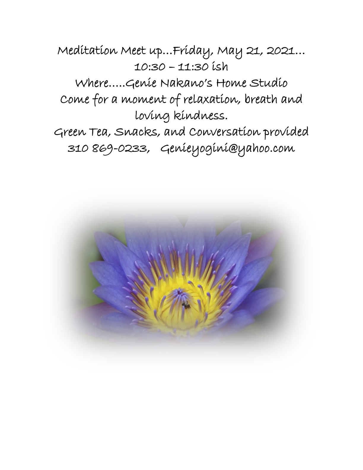 meditation  meetup