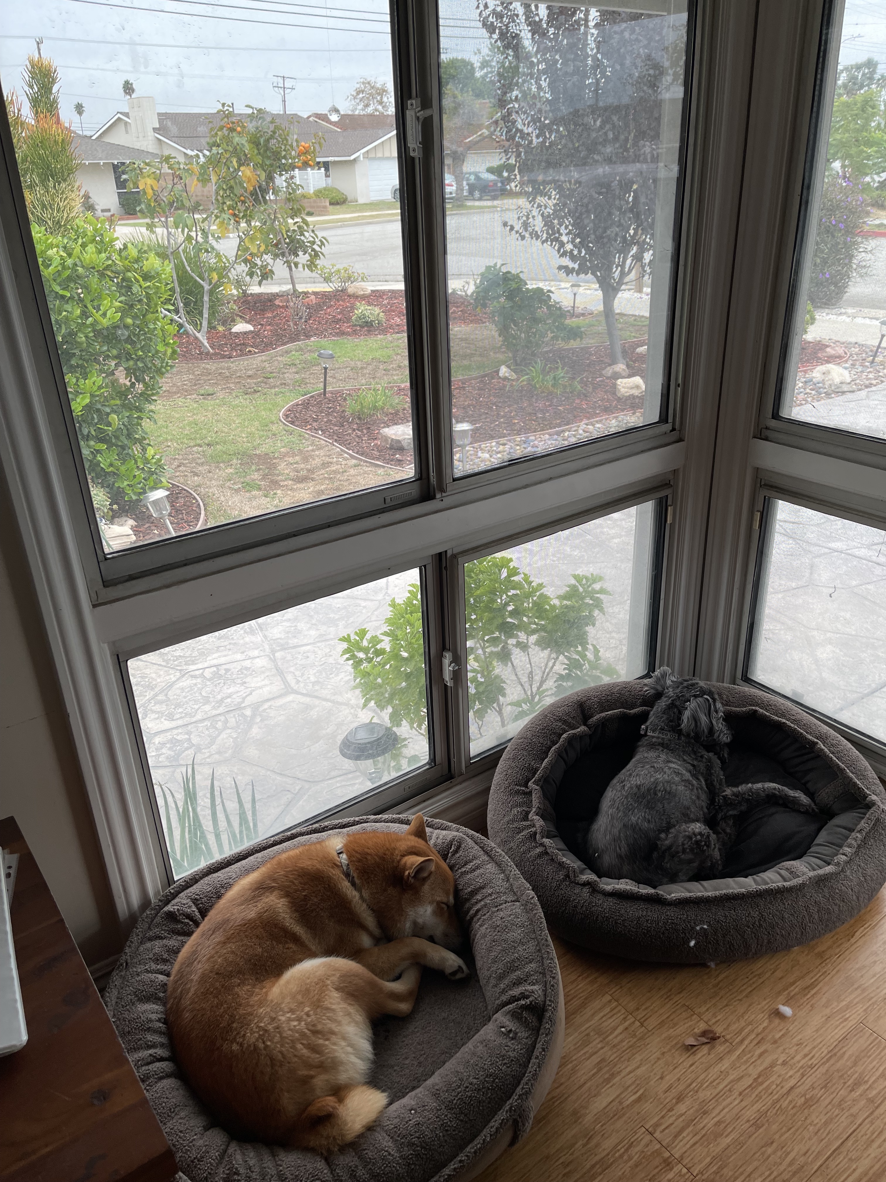 the simple life