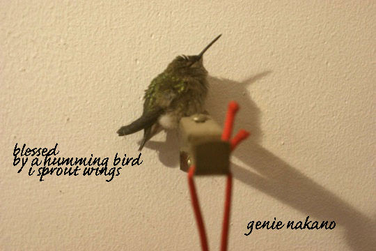 His story…